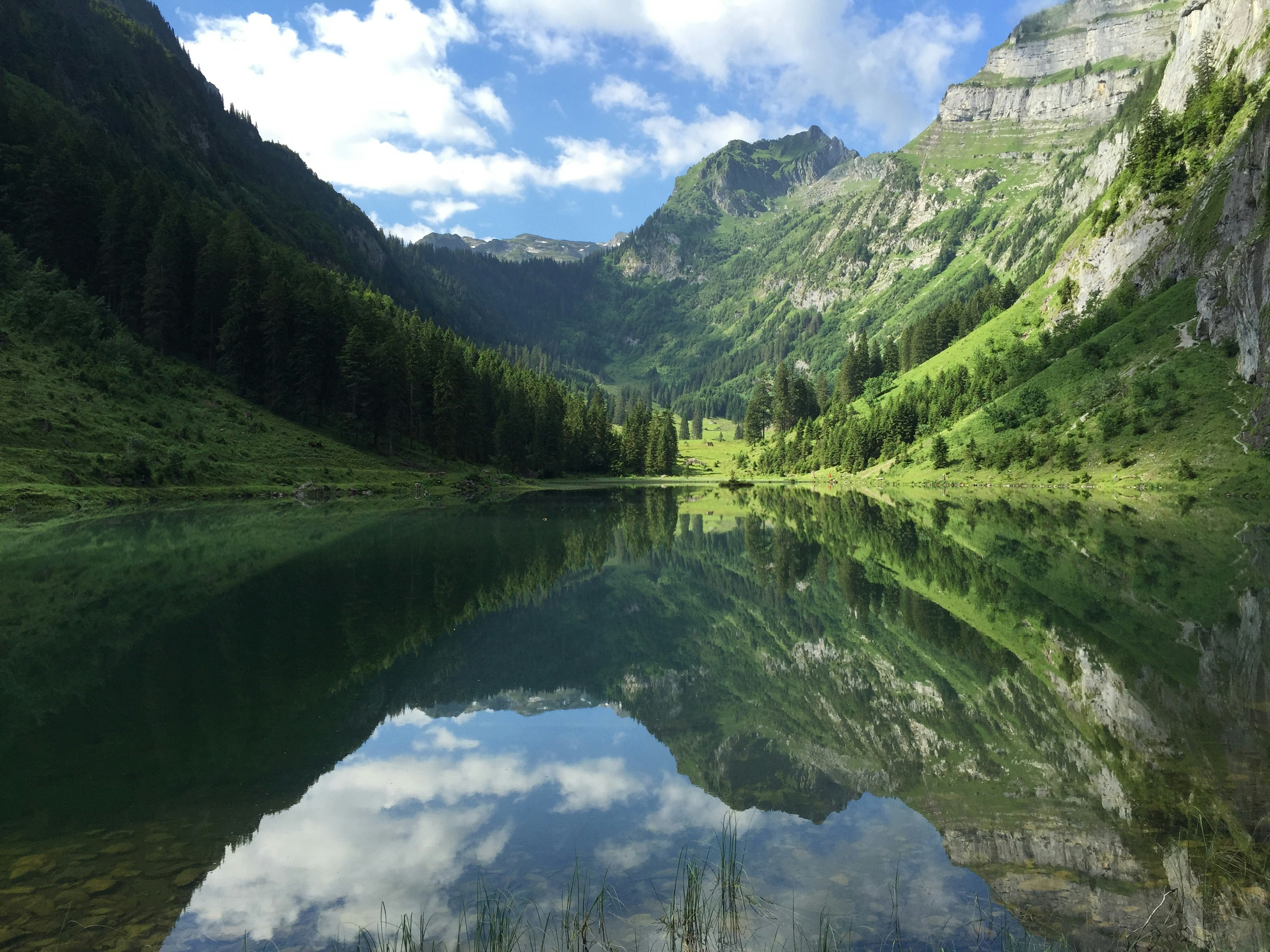 Photo by pedrino5_official