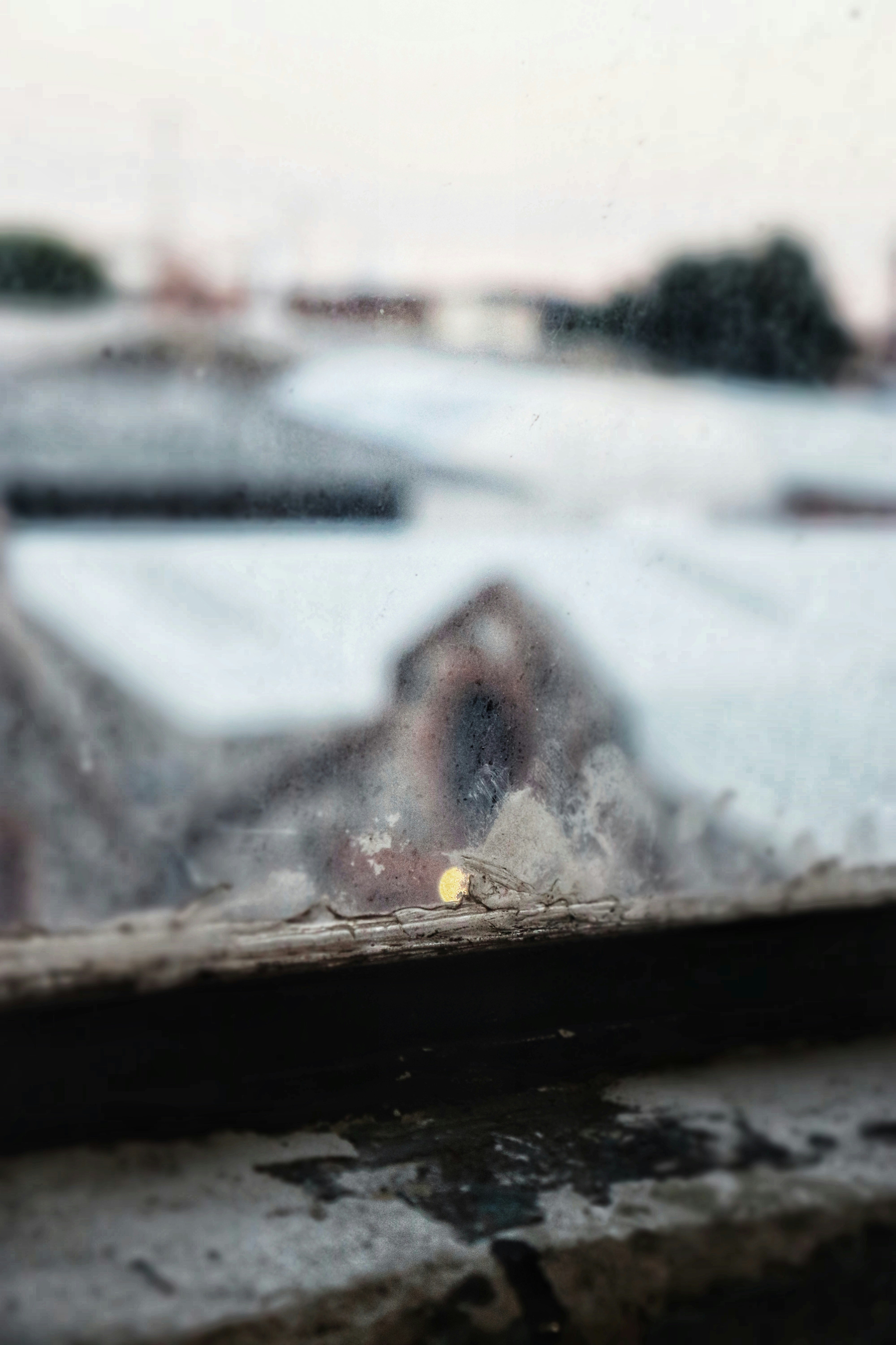 Photo by monicaarrezola