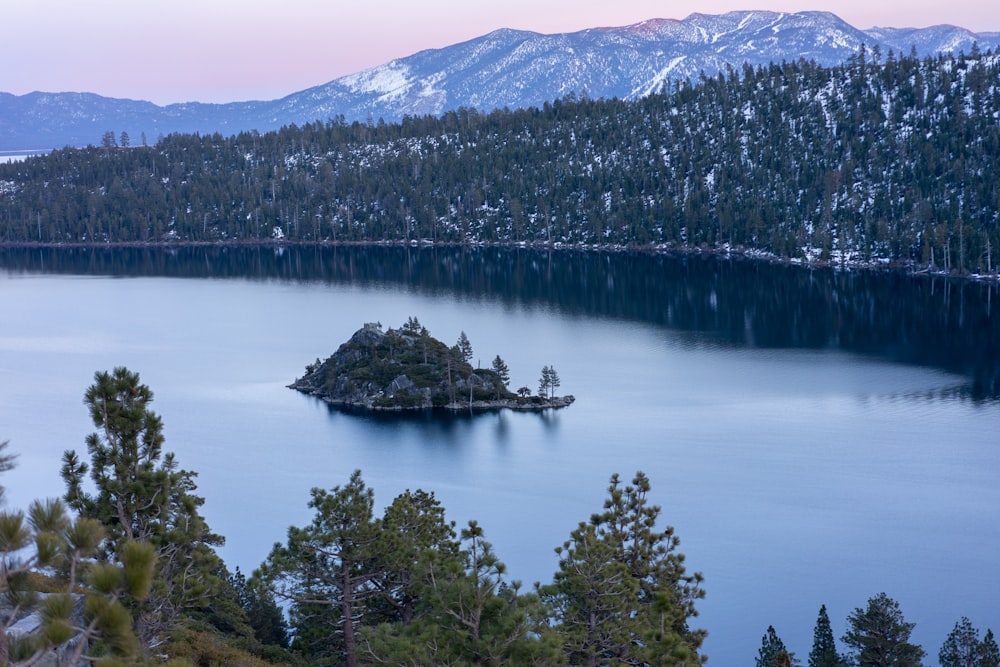 arbres verts près du lac et de la montagne pendant la journée