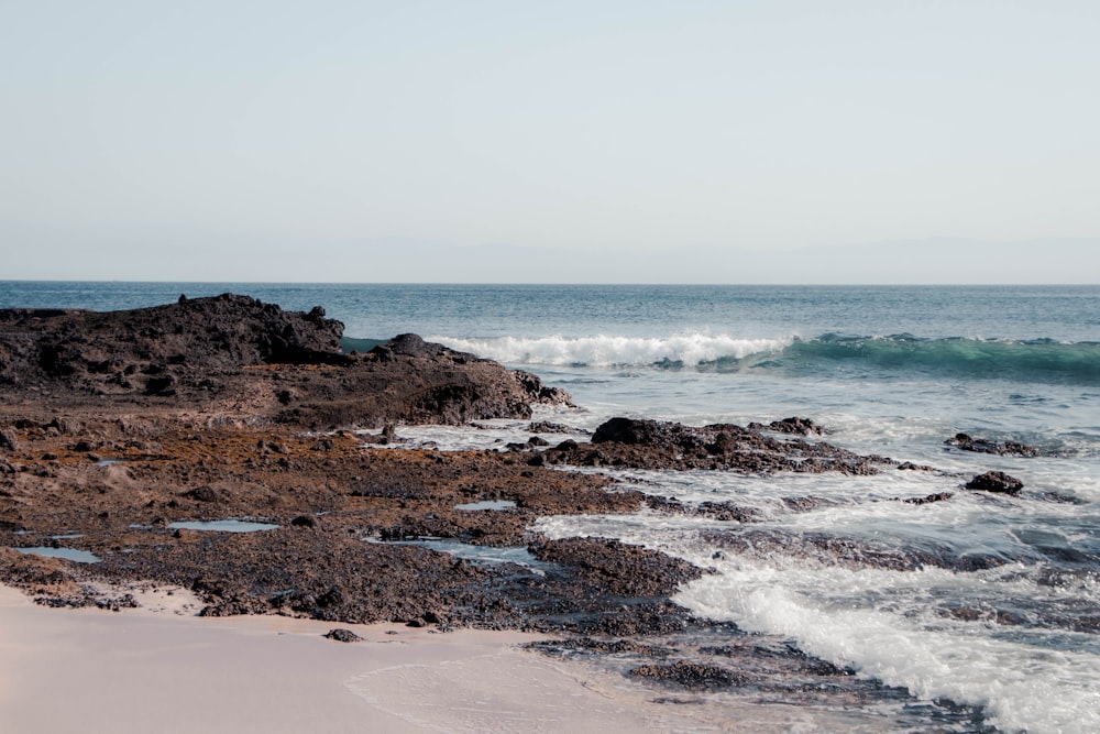 brown rocky shore near ocean water during daytime