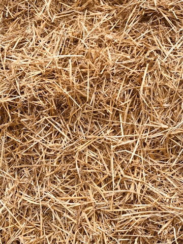 A tightly packed collection of straw stems, with varying shades of brown and tan. The texture is rough and the pieces of straw are intertwined and randomly arranged.
