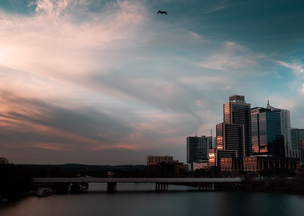 bird flying over the city during sunset