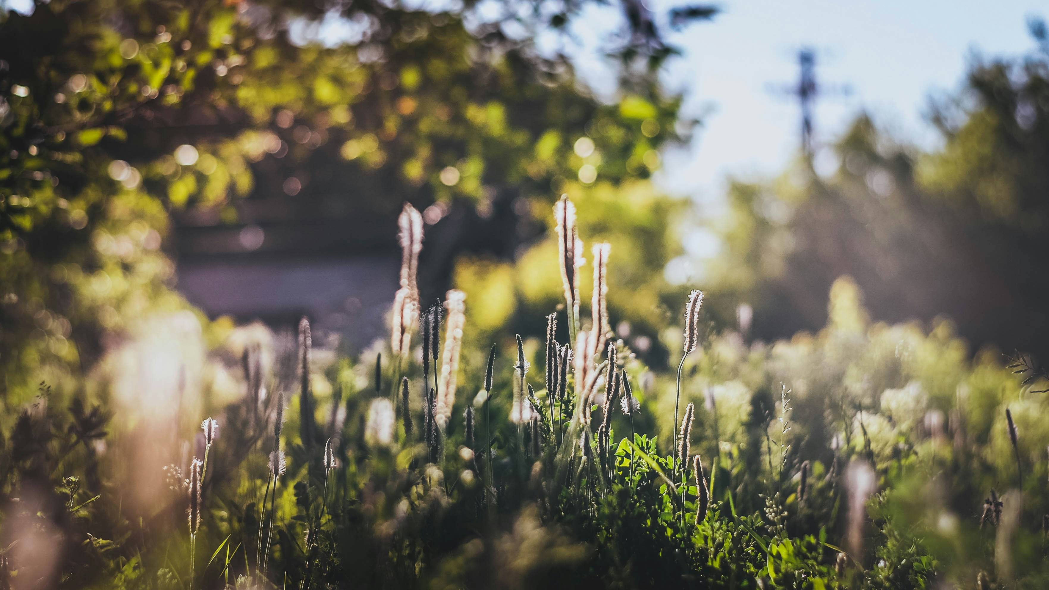 Photo by poliezhaievv