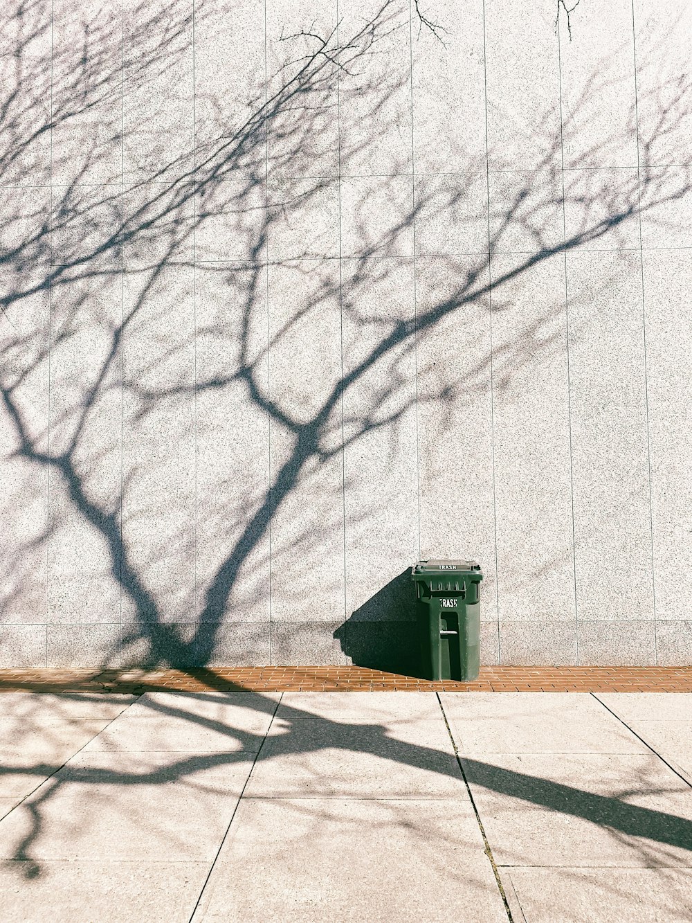 black bare trees on brown concrete floor