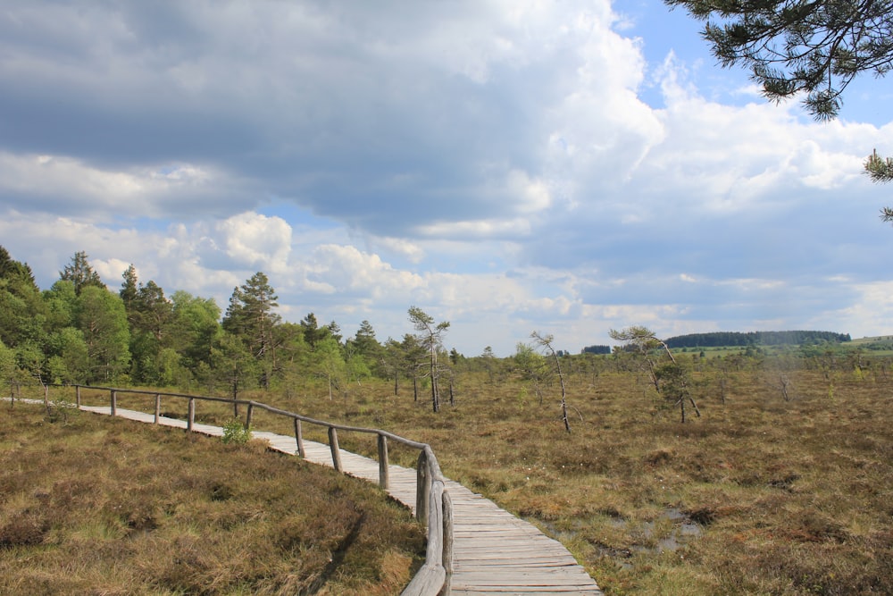 brown wooden bridge over green grass field under blue sky and white clouds during daytime