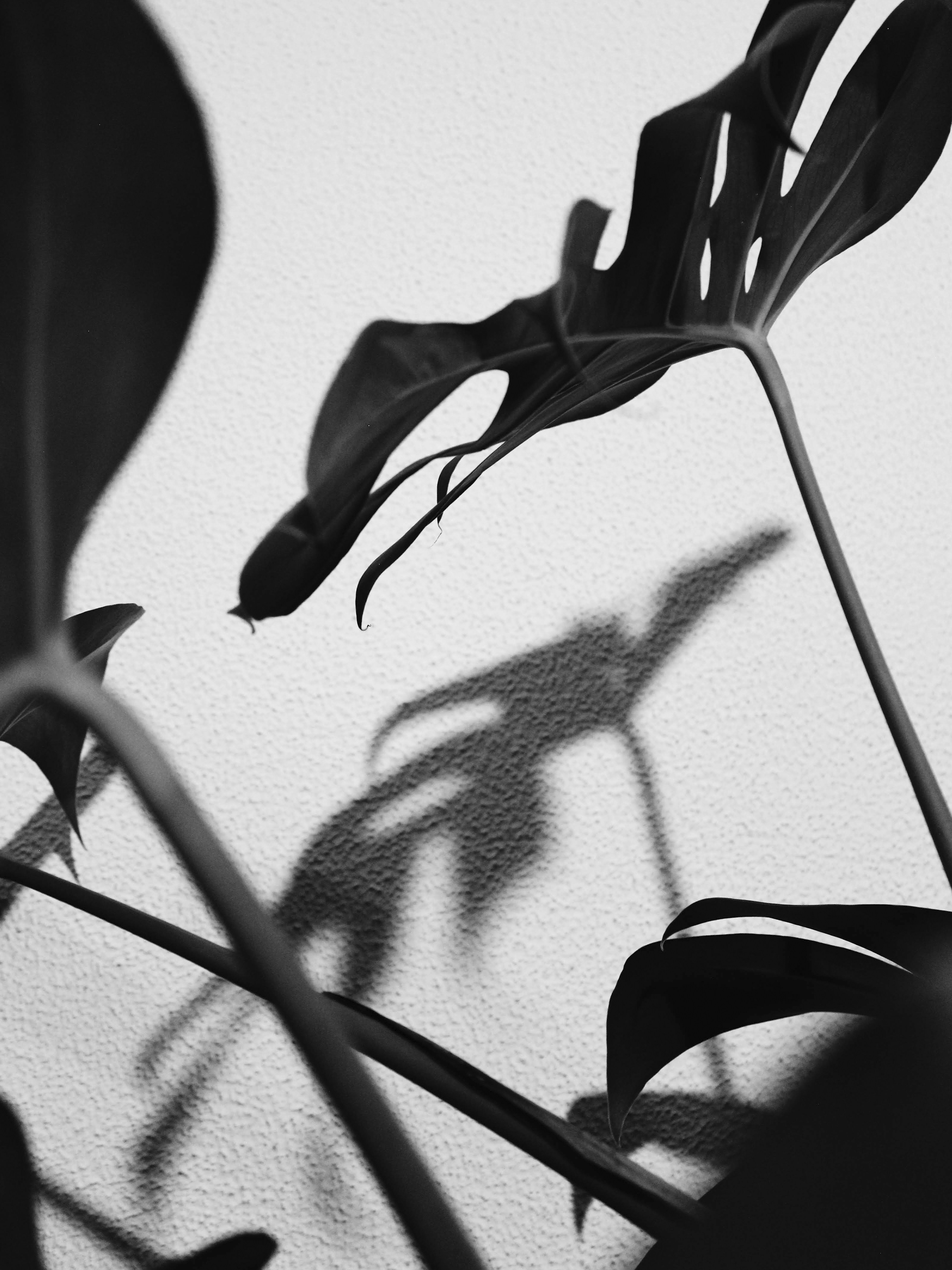 Photo by nathanareboucas