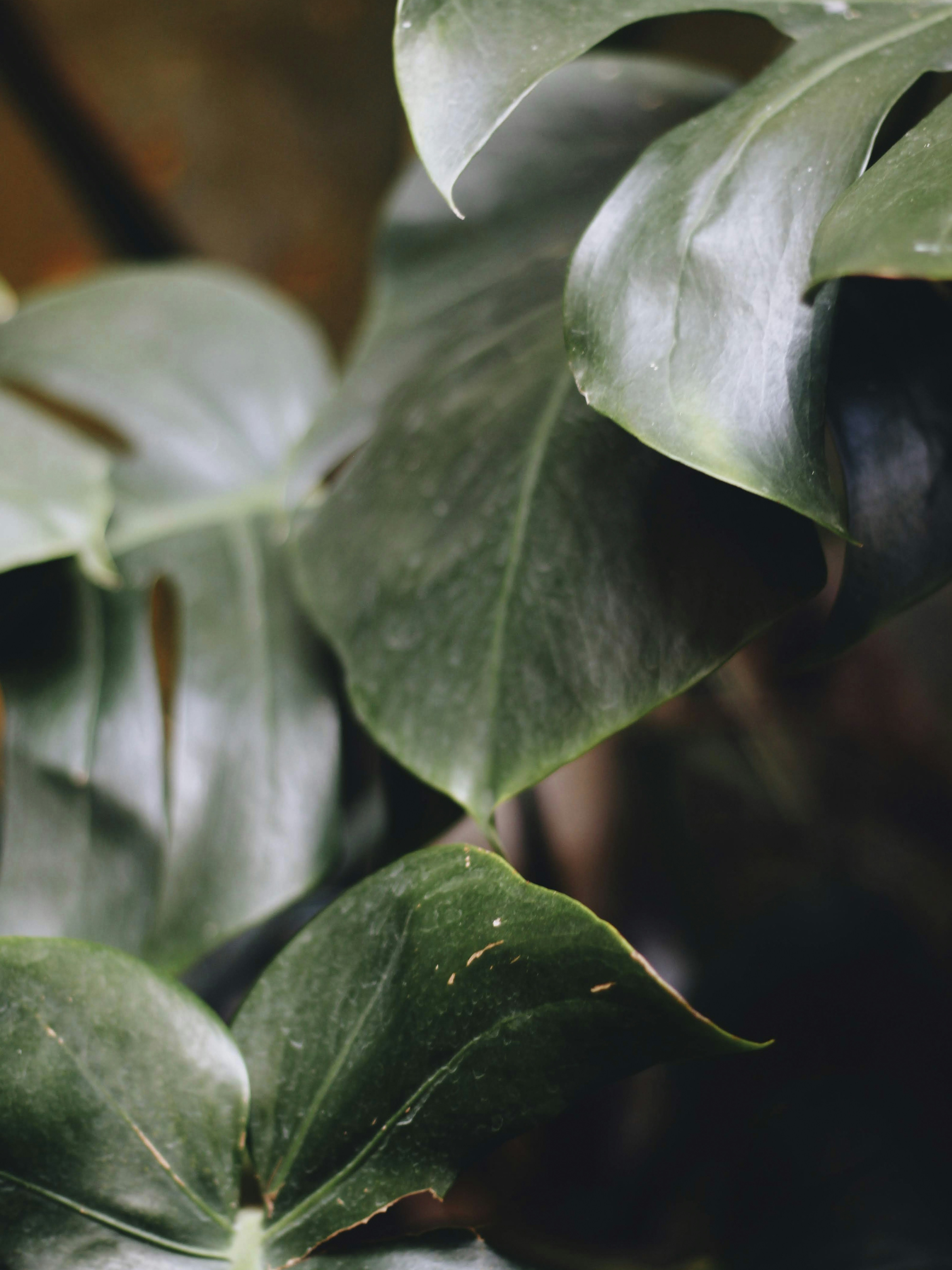 Photo by nathanareboucas