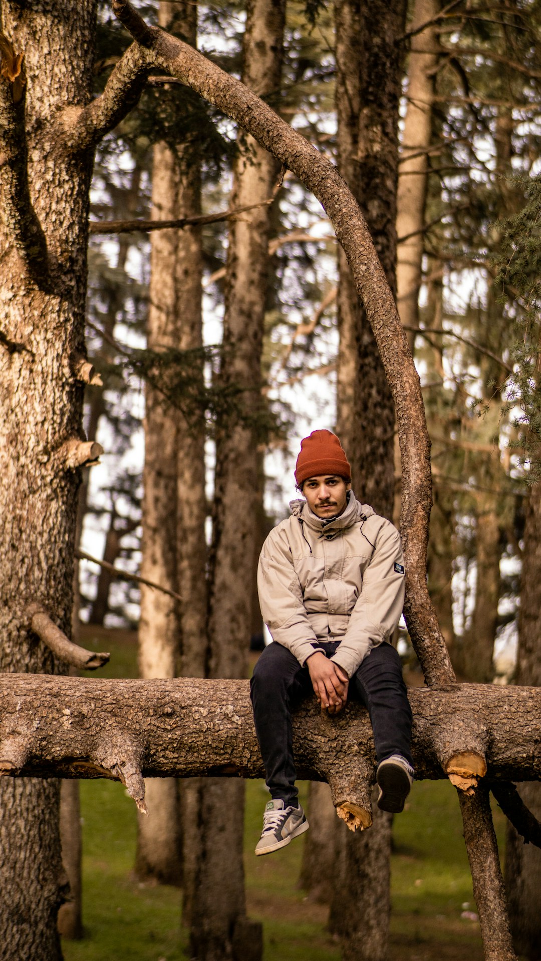 man in gray jacket and orange knit cap sitting on brown tree log during daytime