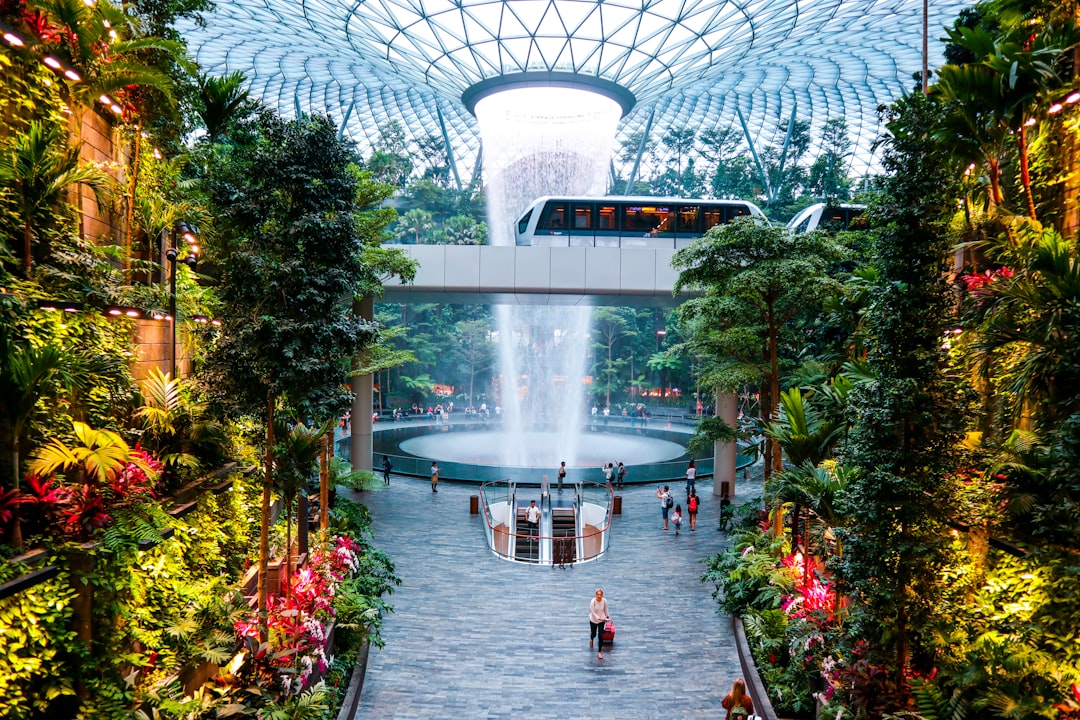 A Traveler’s Crime At Singapore’s Airport:Don't Do the Crime if You… — A Traveler’s Crime At Singapore’s Airport