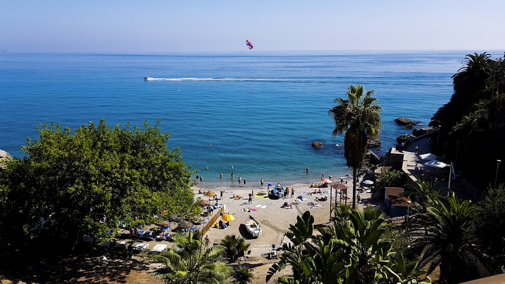 people on beach during daytime