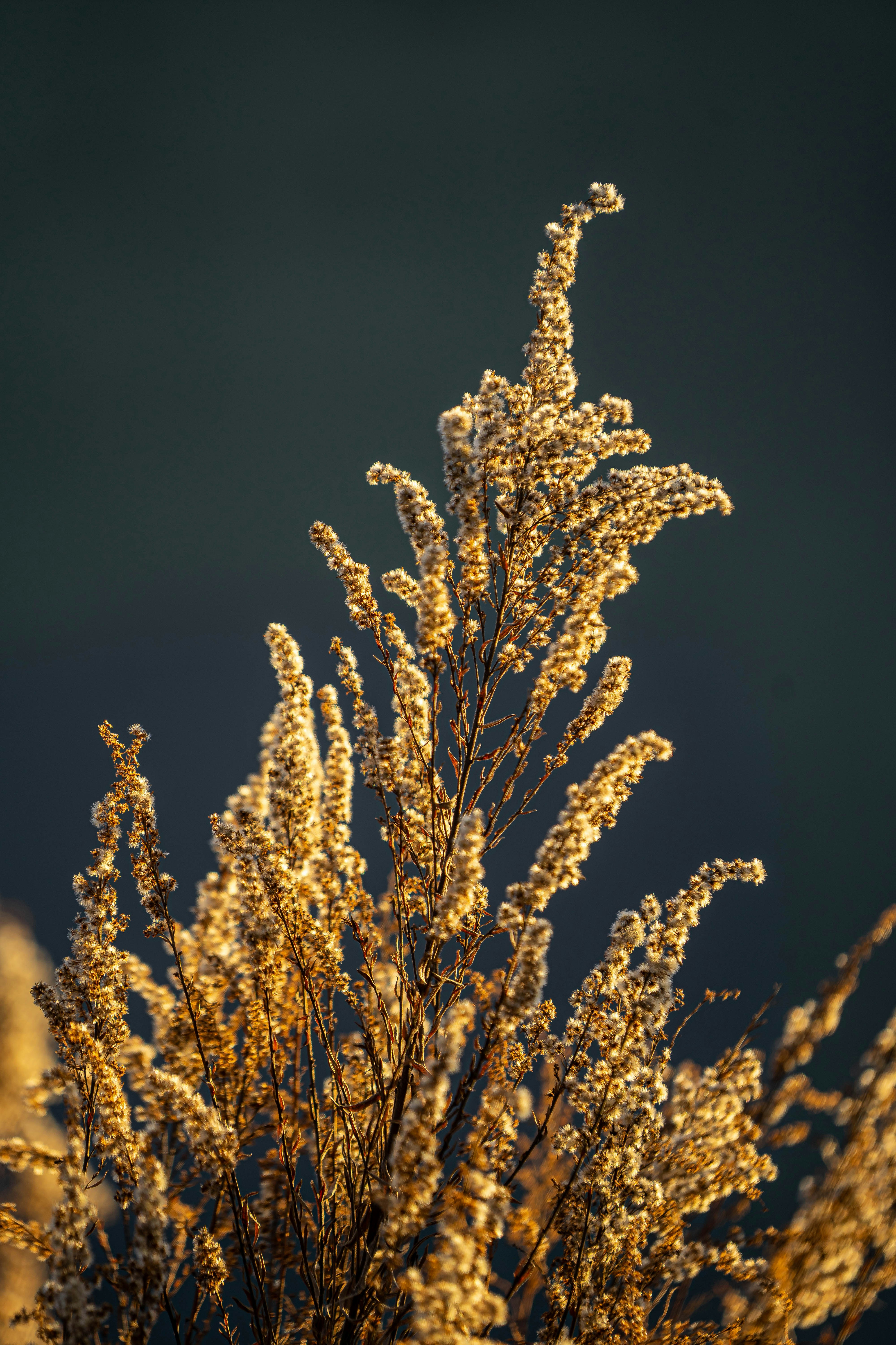 Photo by richardtao28