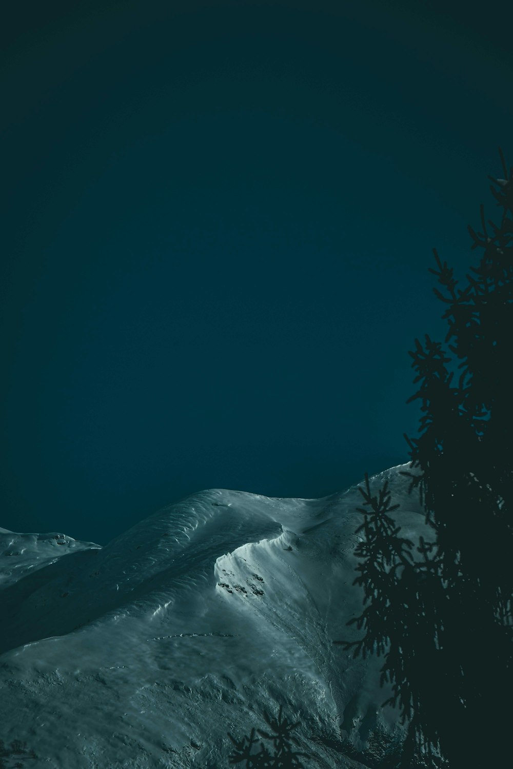 Montaña cubierta de nieve durante la noche