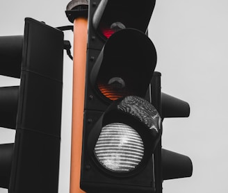 black traffic light turned on during daytime