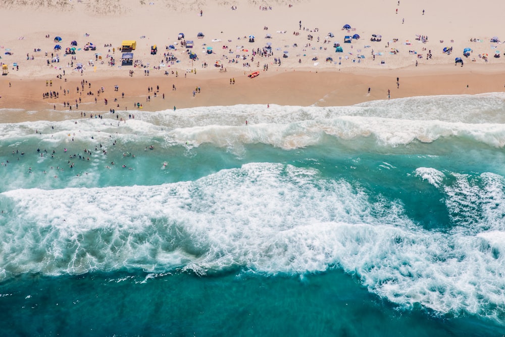 people on beach during daytime