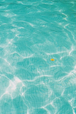 blue water with orange fish