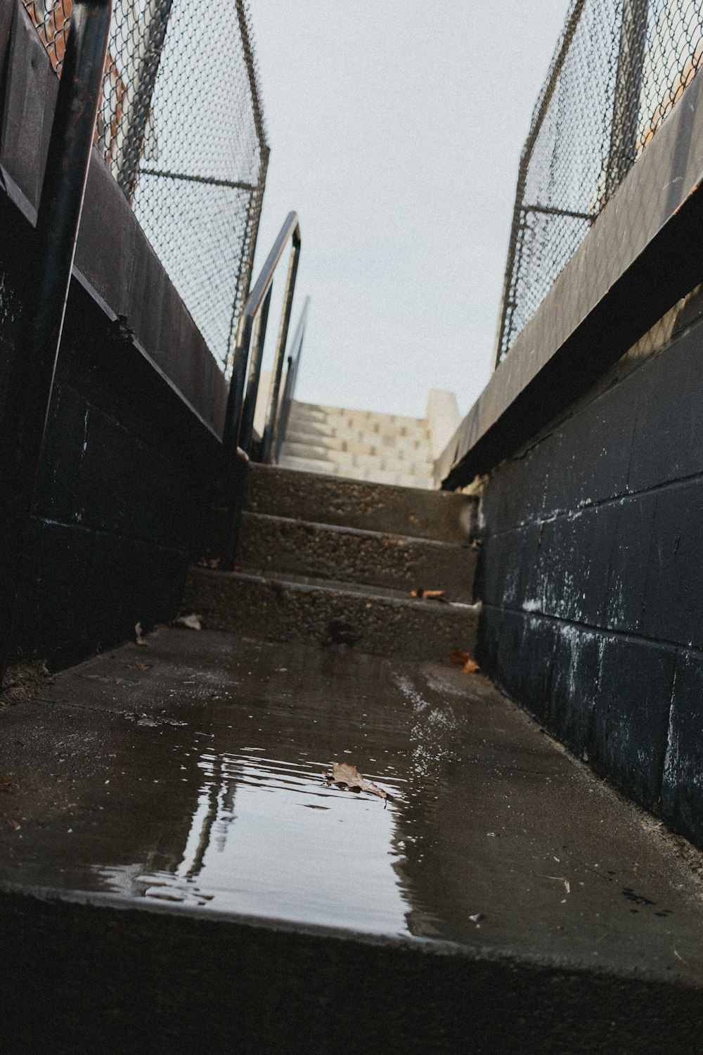 water on gray concrete stairs