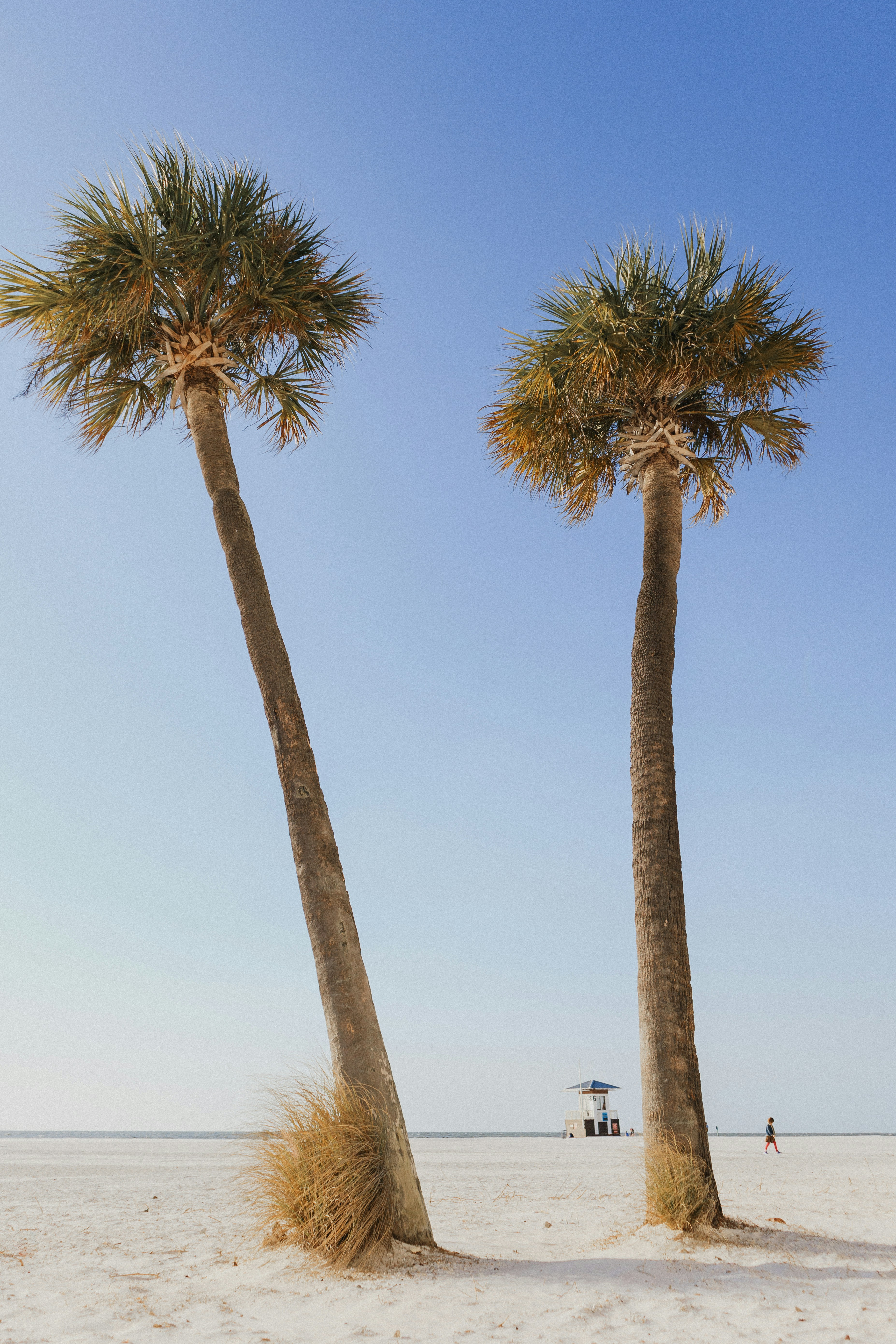 Photo by brandoncormier