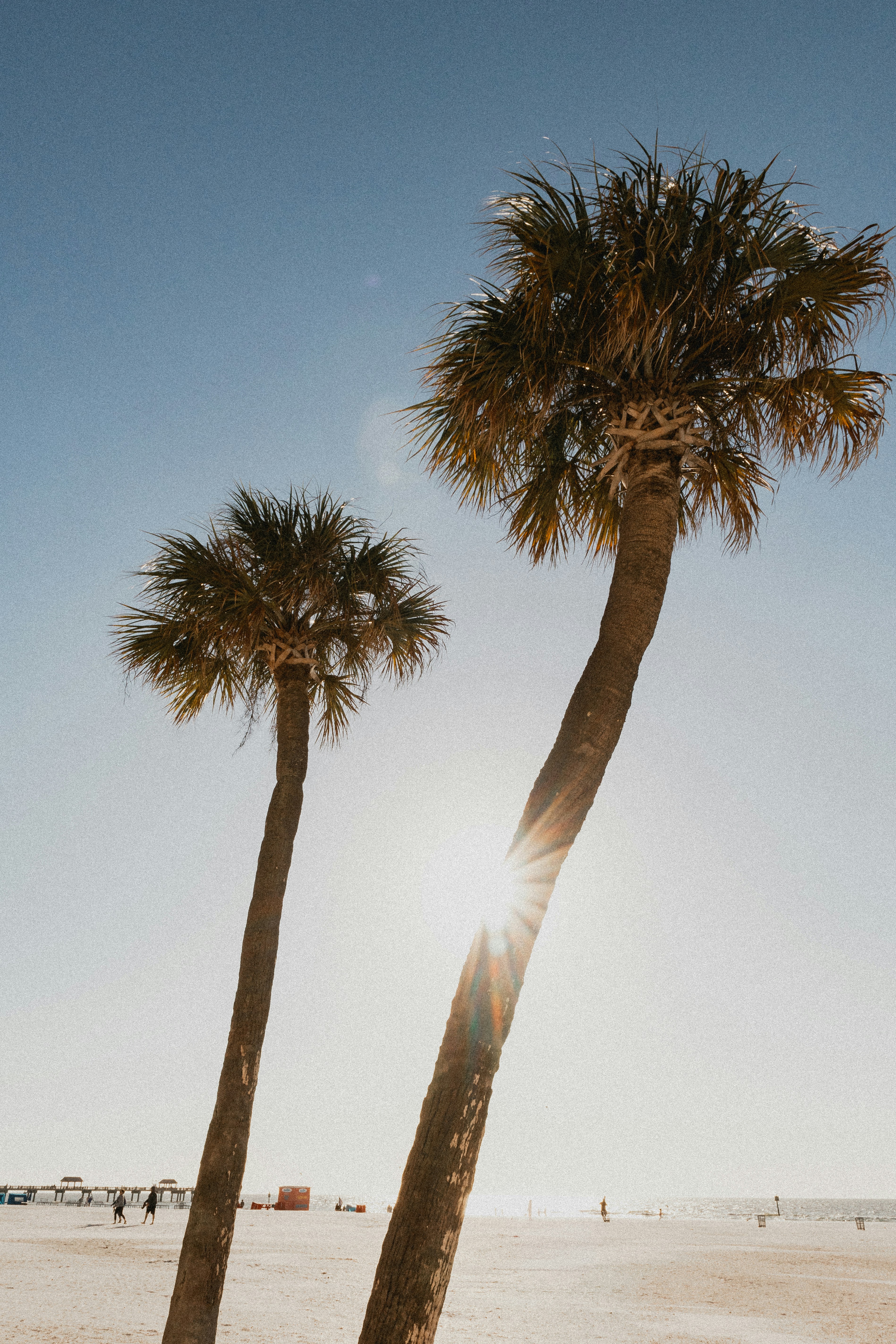 Photo by brandoncormier