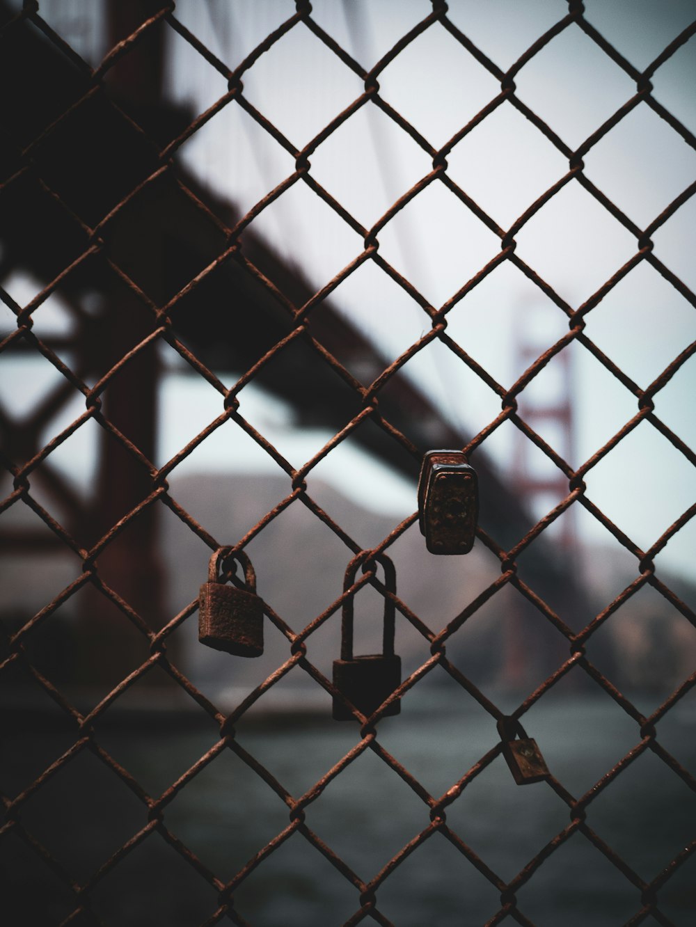 brass padlock on chain link fence