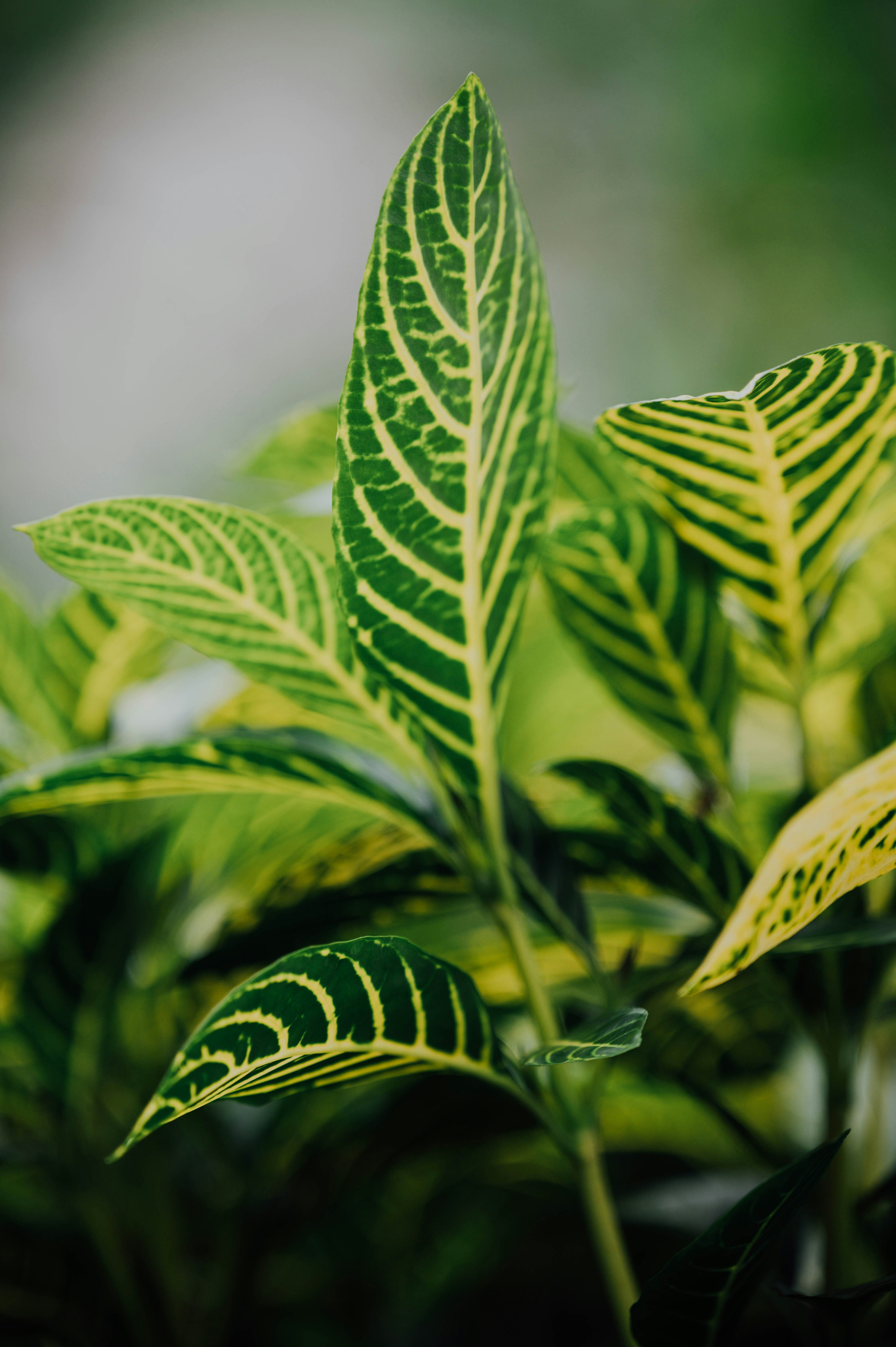 Photo by chuttersnap