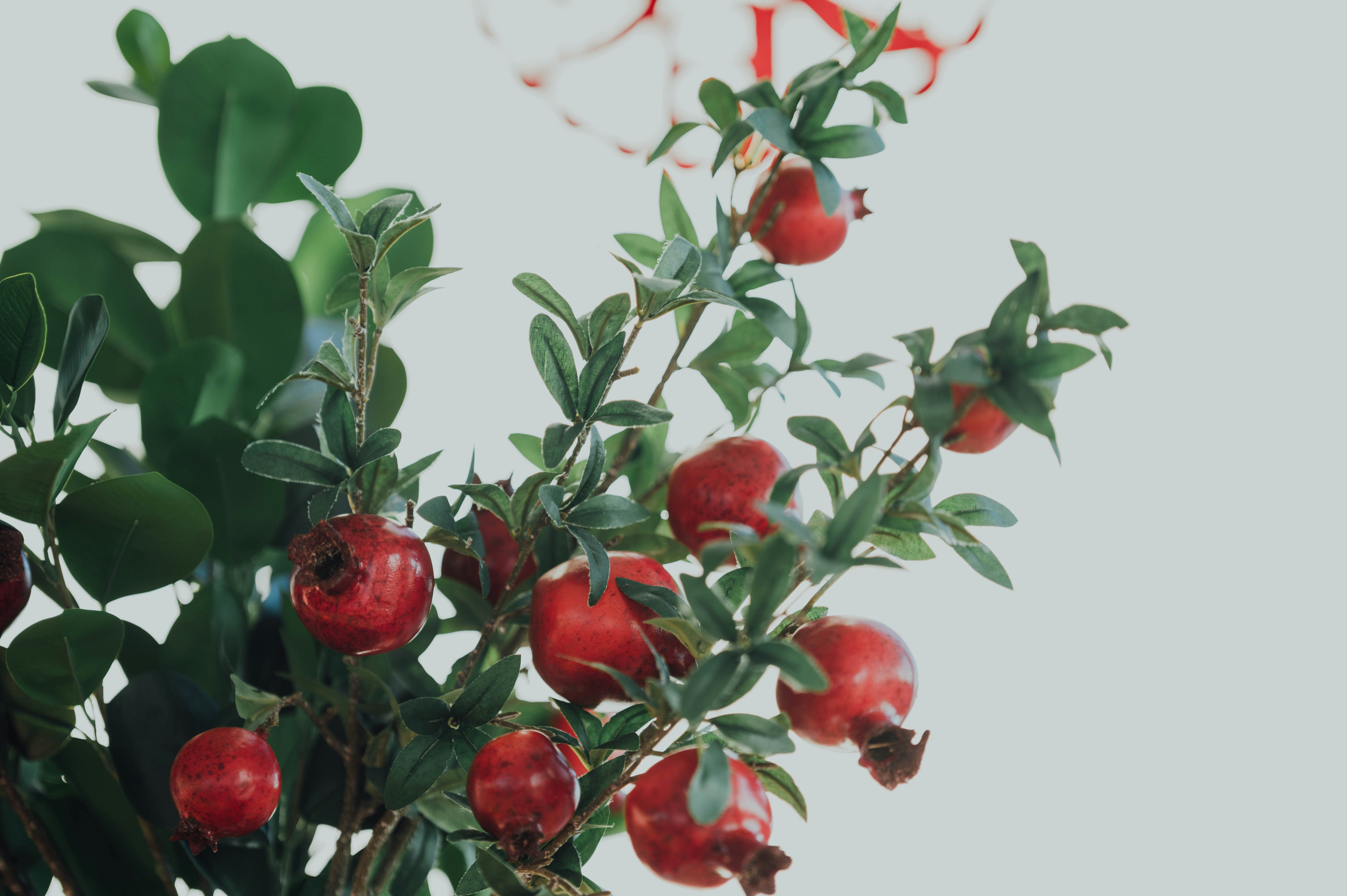 Photo by chuttersnap