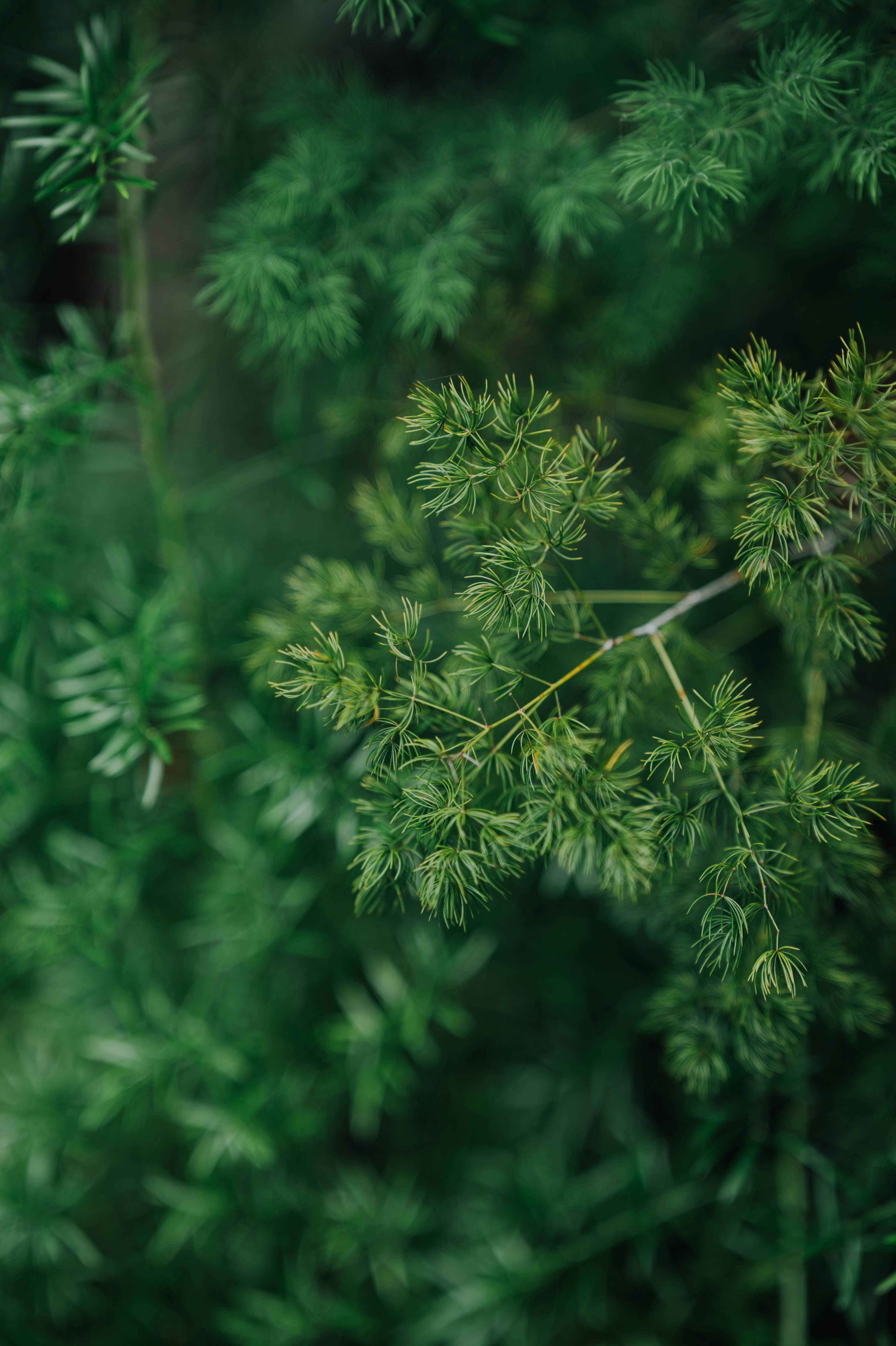 Photo by chuttersnap