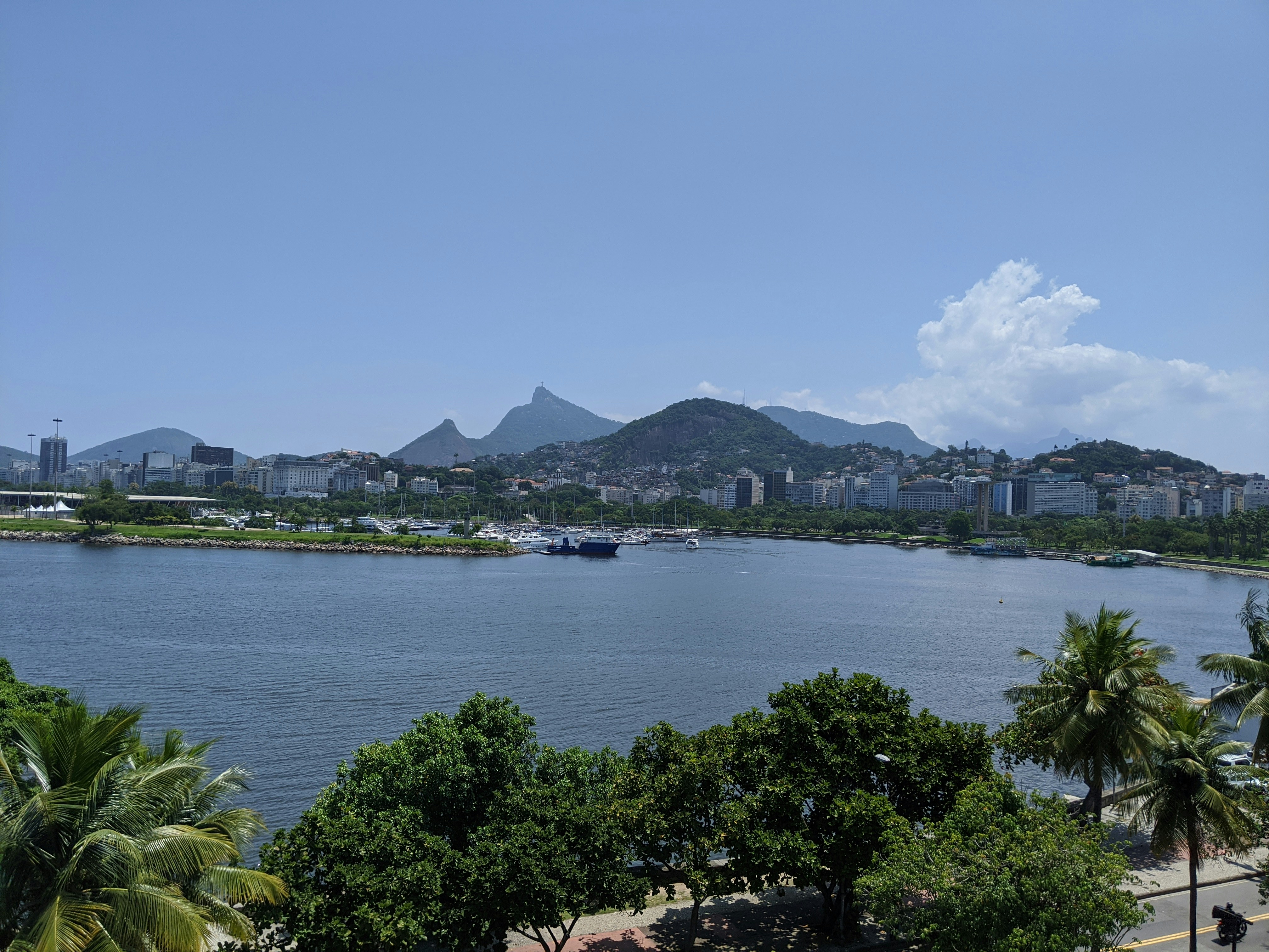 green trees near body of water under blue sky during daytime