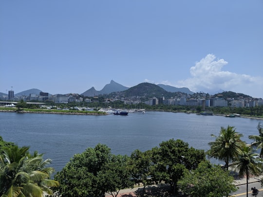 green trees near body of water under blue sky during daytime in Monumento Natural dos Morros do Pão de Açúcar e da Urca Brasil