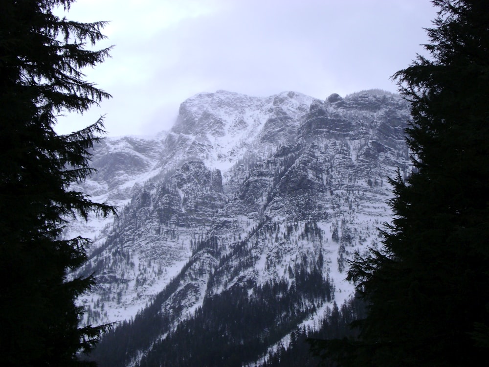 montanha coberta de neve durante o dia