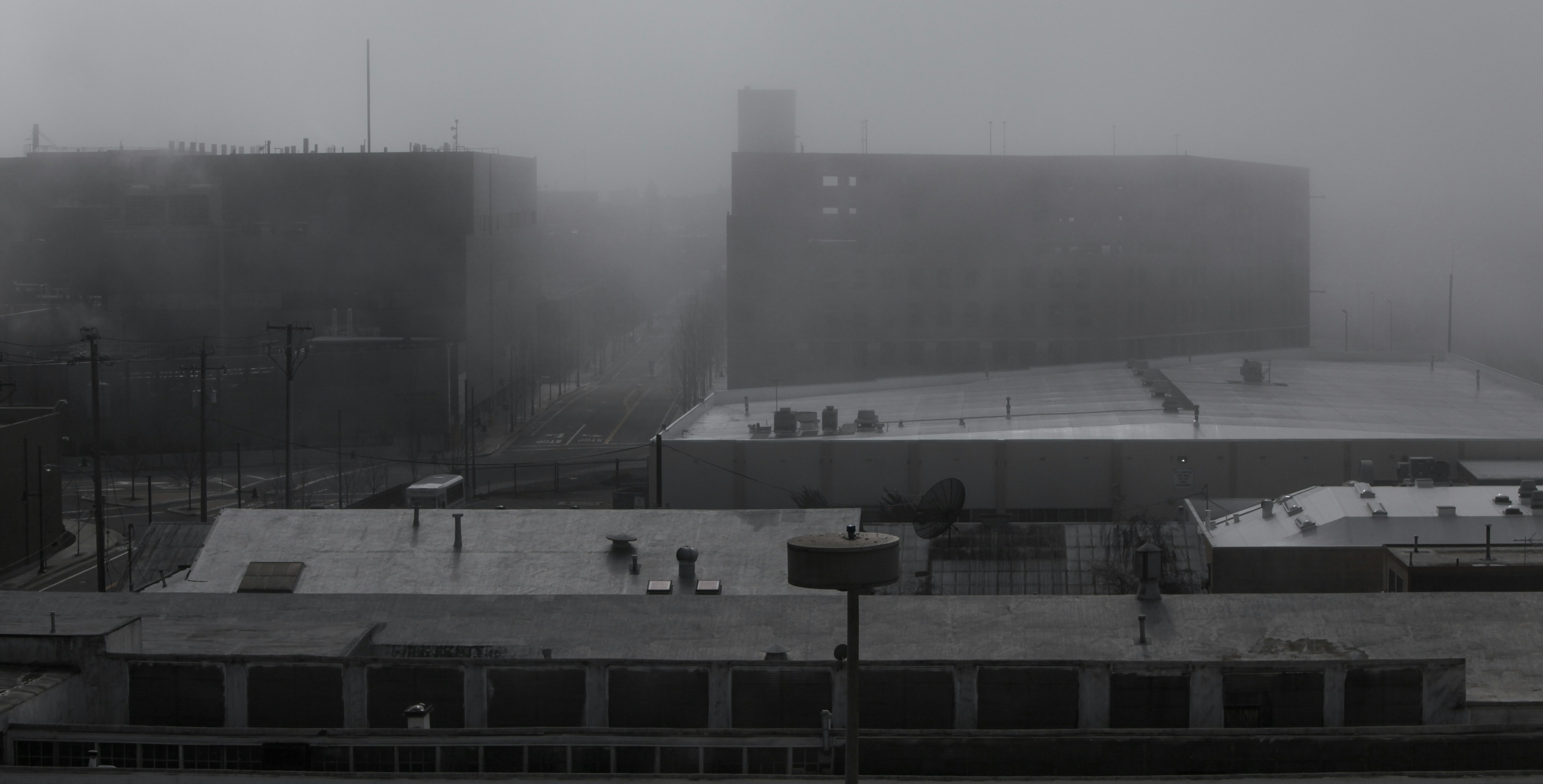Emeryville Fog