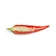 red chili on white background