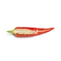 red chili on white background