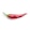 red chili on white background