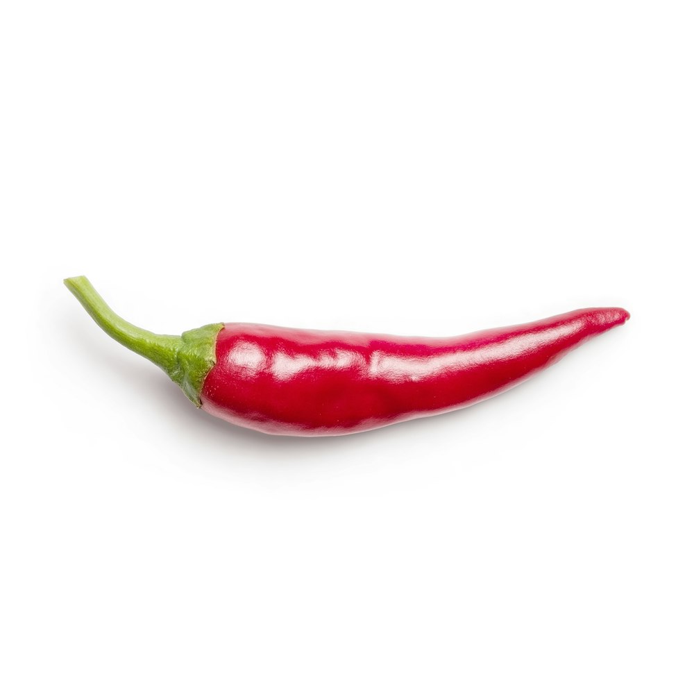 red chili on white background
