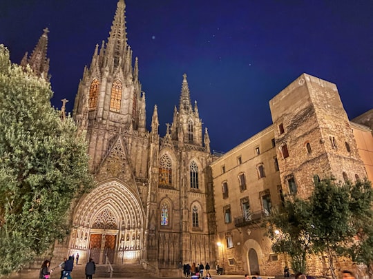 people walking near brown concrete building during night time in Cathedral of Barcelona Spain