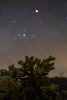 A starry night sky over a quiet desert landscape with silhouettes of cacti.