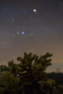 A starry night sky over a quiet desert landscape with silhouettes of cacti.