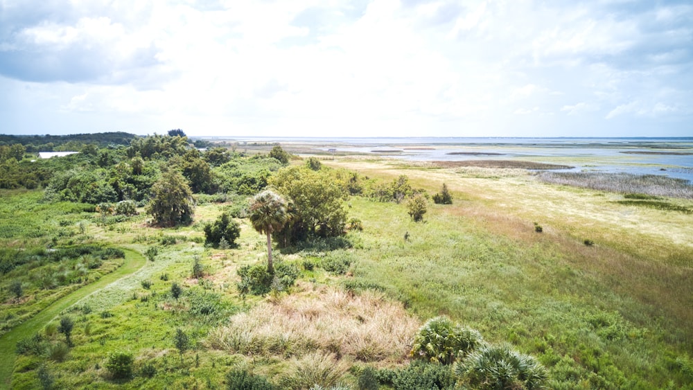 green grass field near body of water during daytime