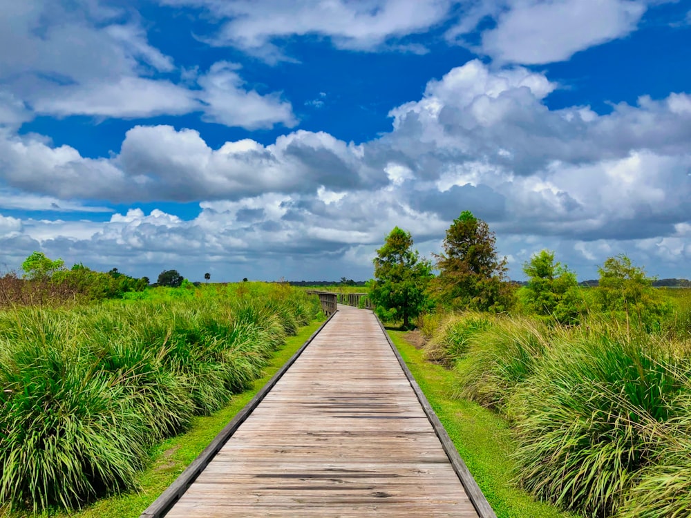 brown wooden pathway between green grass field under blue and white cloudy sky during daytime