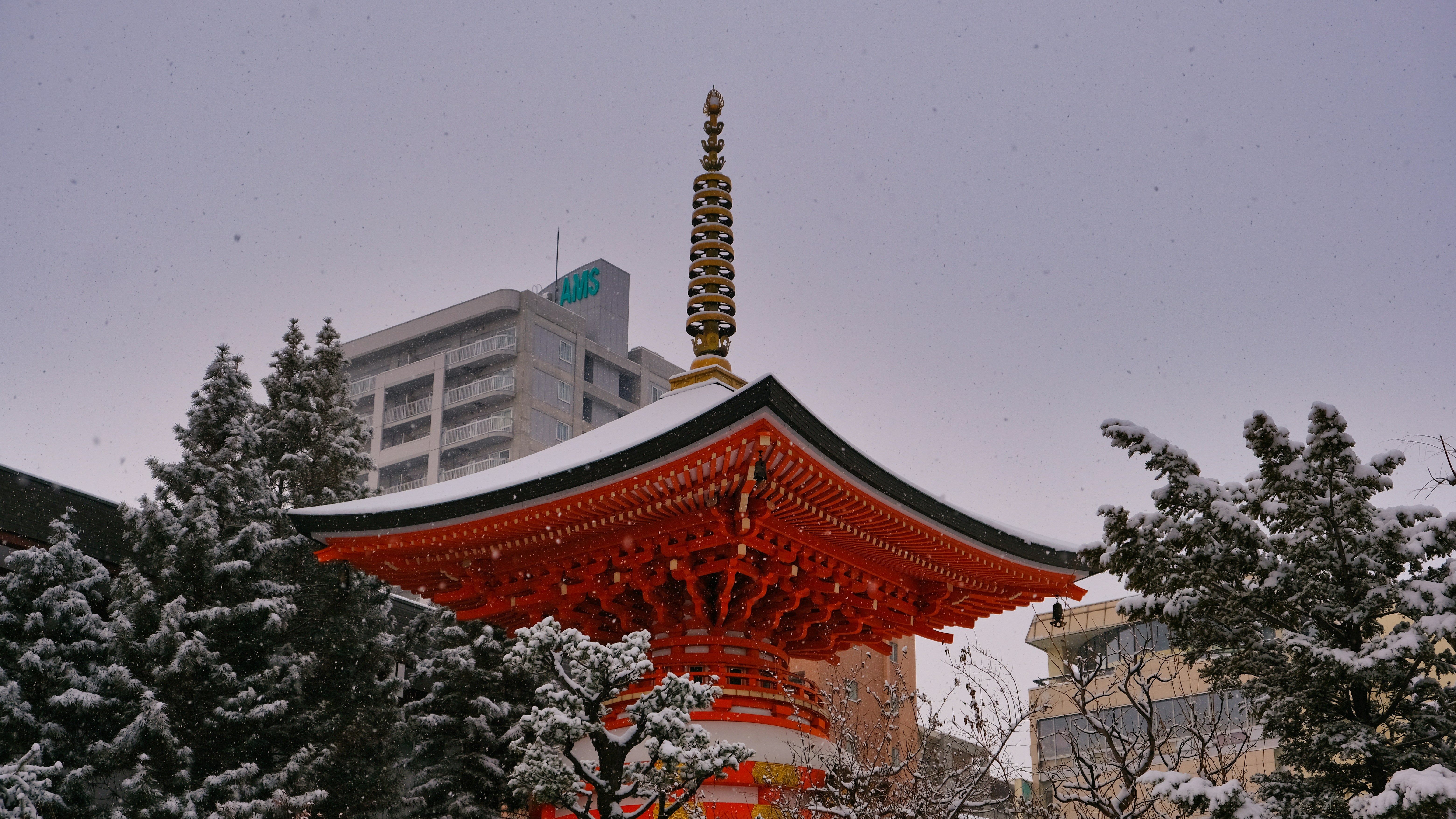 red and white temple near trees during daytime