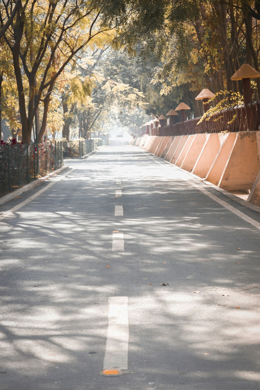 gray concrete pathway between brown wooden fence and trees during daytime