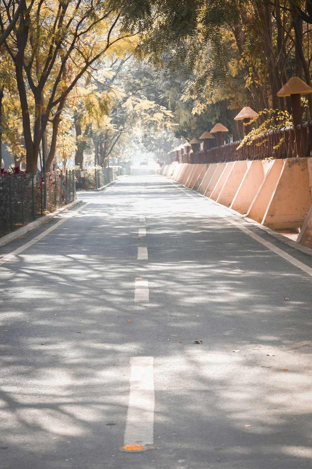 日中の茶色の木の柵と木々の間の灰色のコンクリートの通路