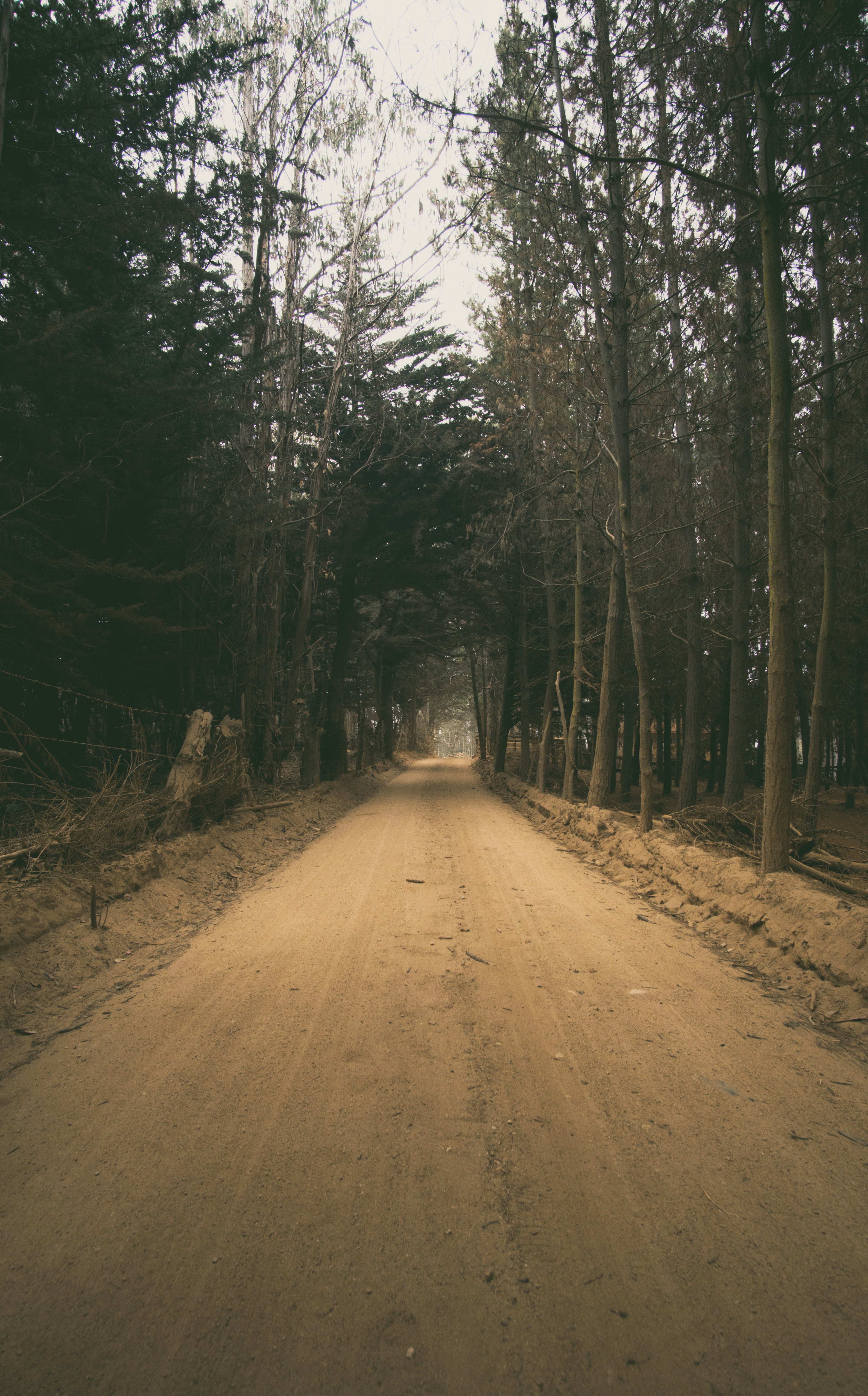 Photo by paulberthelon