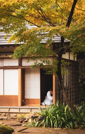 A traditional Japanese house surrounded by lush greenery, with a person dressed in a white garment sitting inside, visible through an open doorway.