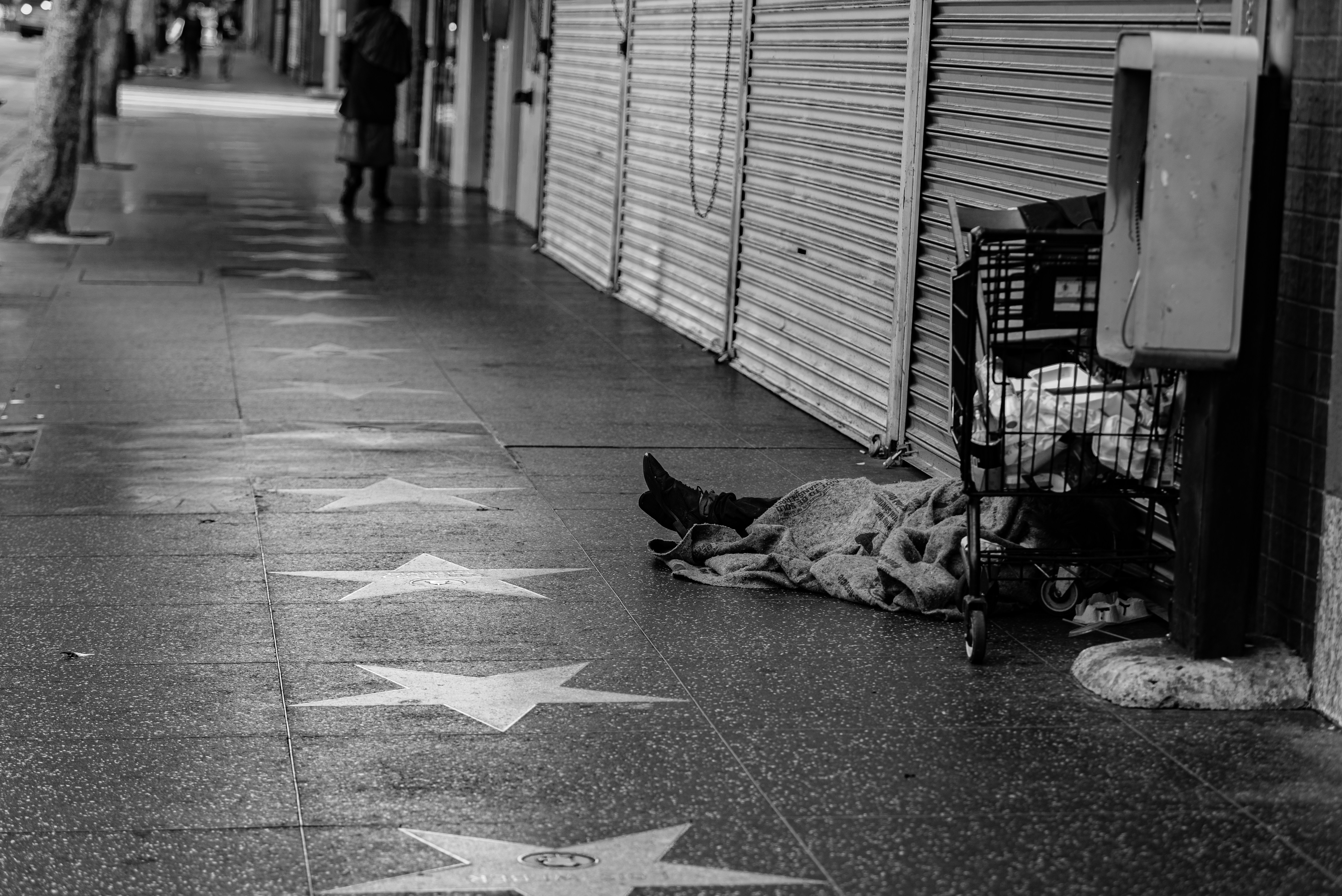 grayscale photo of a dog lying on floor