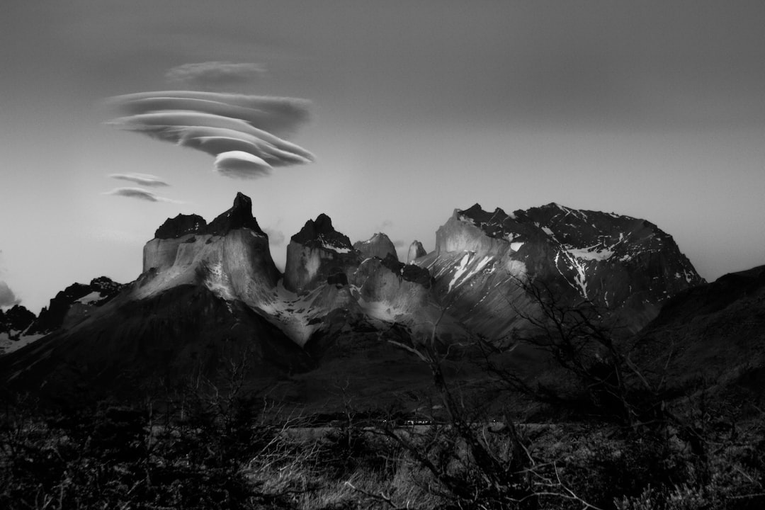 grayscale photo of mountains and trees