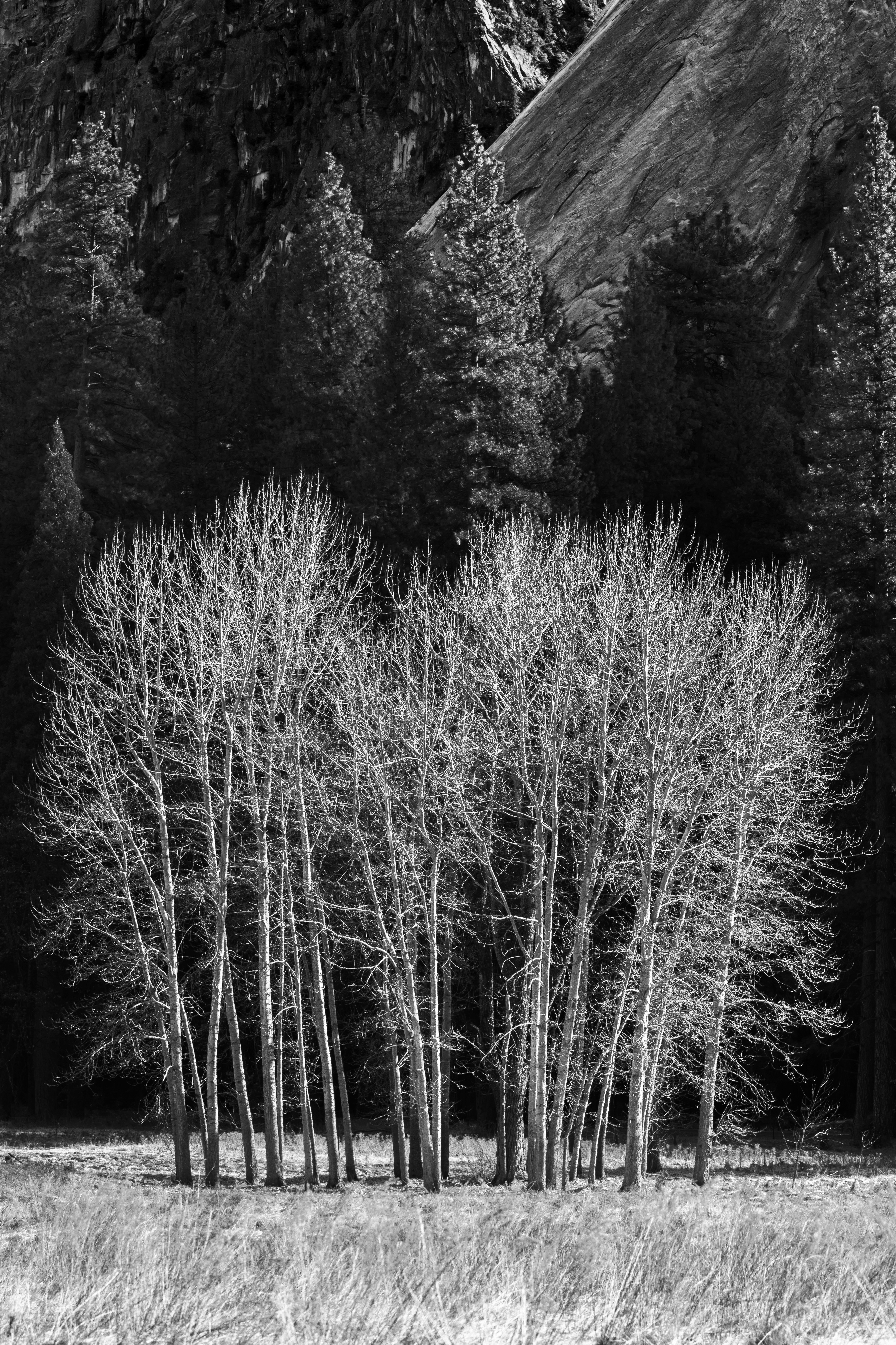 Photo by rosiefoto13