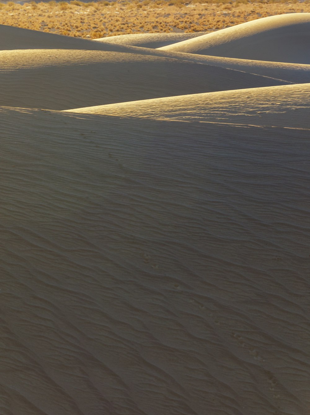 brown sand and body of water