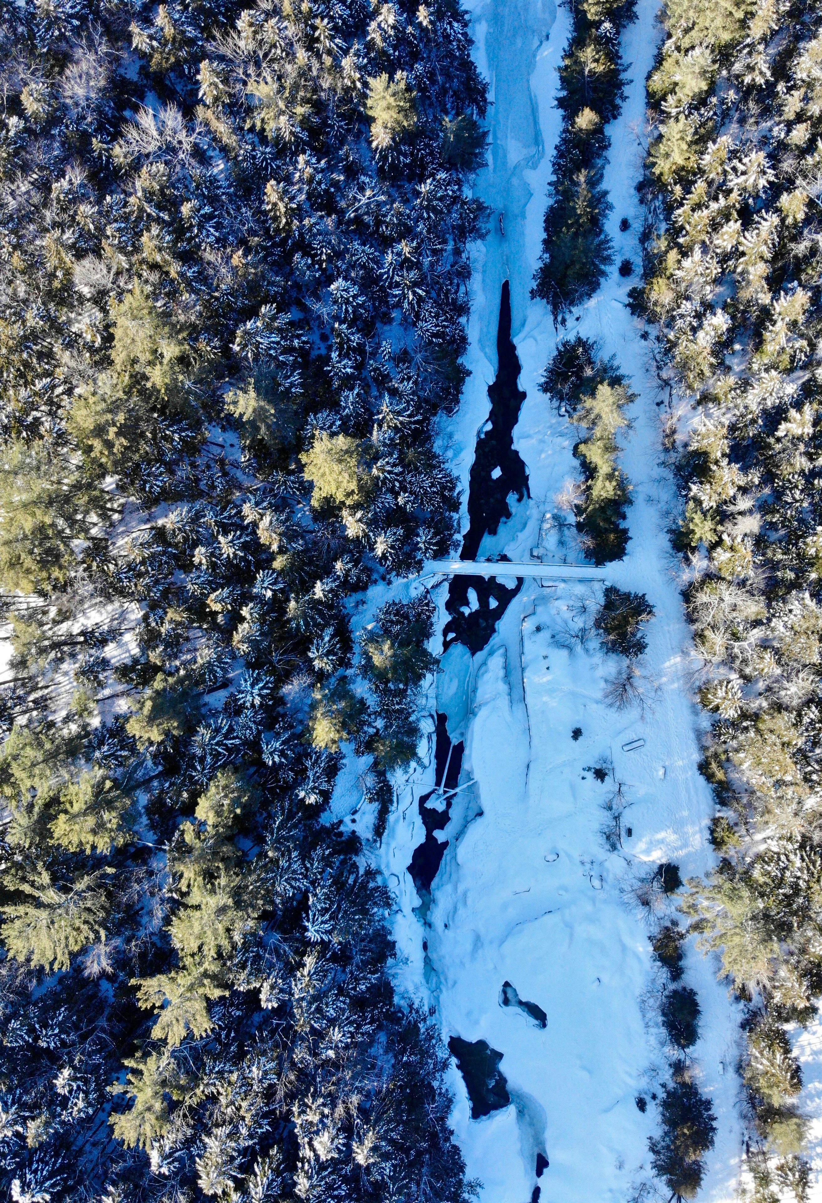 Photo by magnusmachado