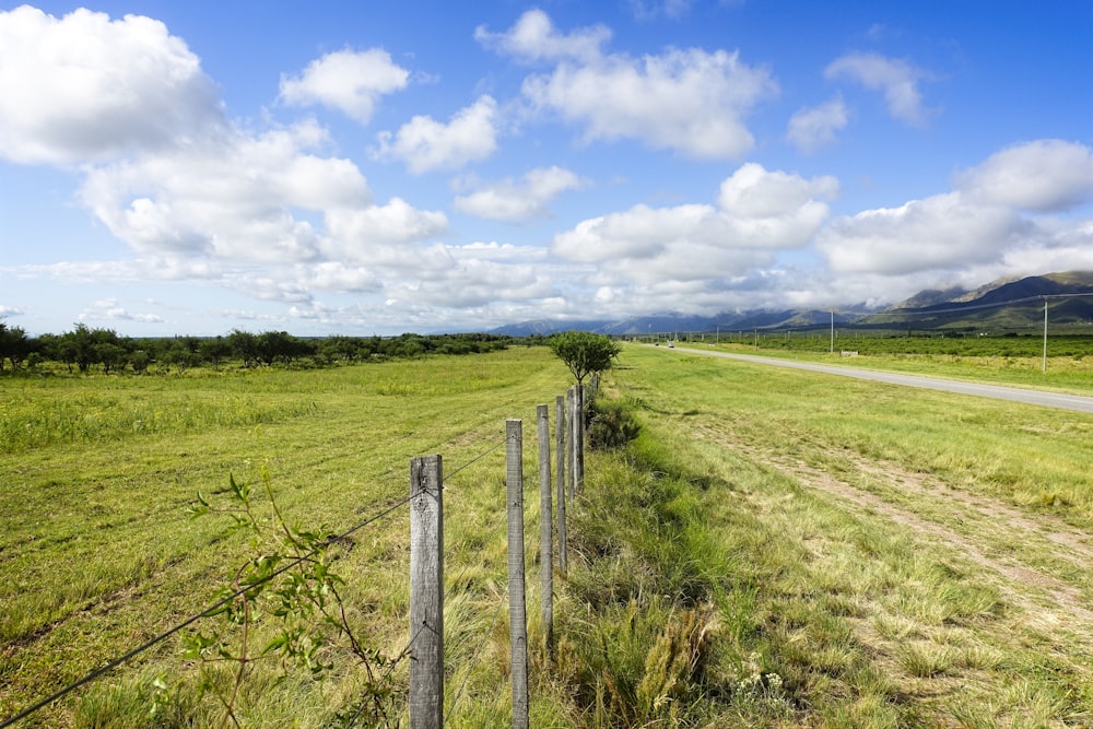 green grass field under white clouds and blue sky during daytime